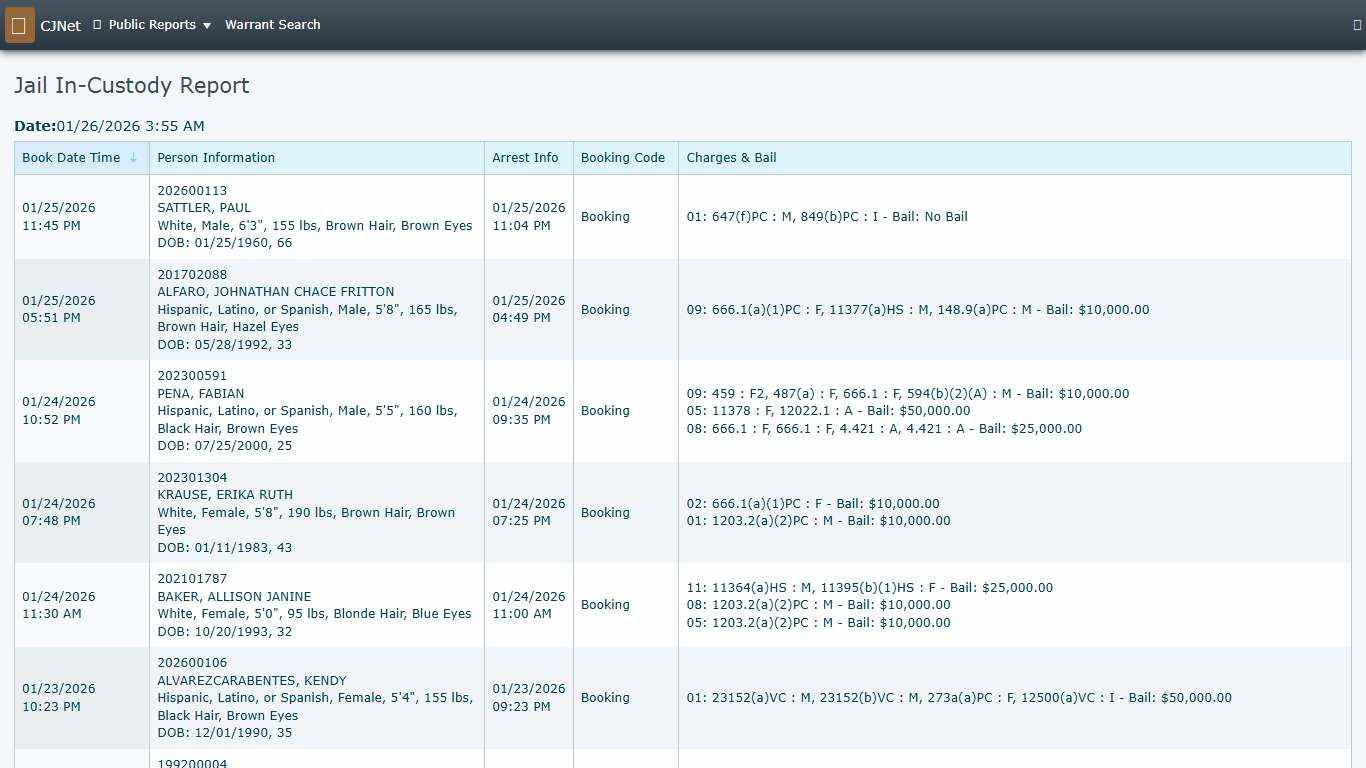 Jail In-Custody Report CJNet